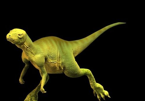 Hypsilophodon Dinosaur Animal Rigged