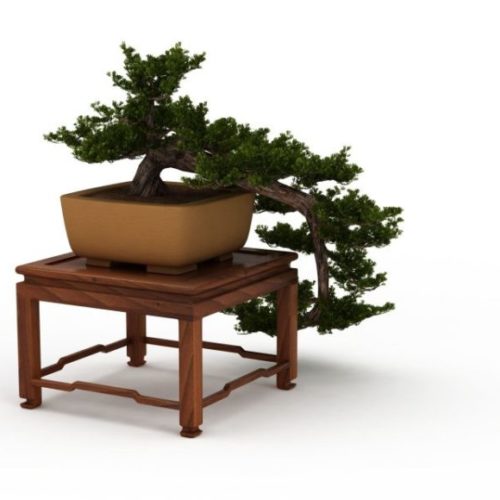 Indoor Plant Desk Bonsai Tree