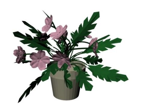 Indoor Plant Flower Bonsai