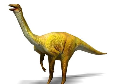 Gallimimus Dinosaur, Jurassic Park Animal Animals