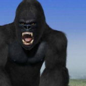 King Kong Character