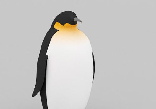 King Penguin Animal
