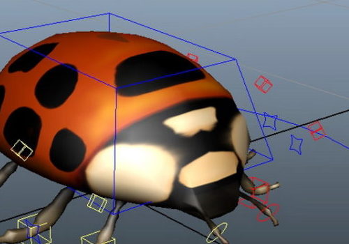 Lady Beetle Rigged