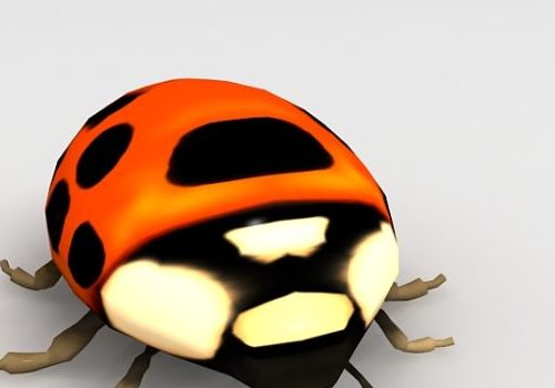 Red Ladybug Insect Animals