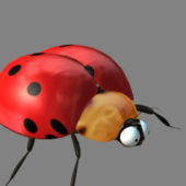 Ladybugs Animal