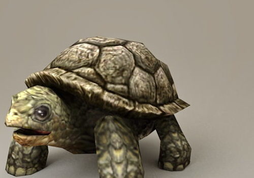 Realistic Sea Turtle | Animals