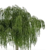 Weeping Willow Green Tree