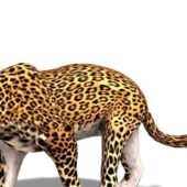 Realistic Africa Leopard Animal Animals