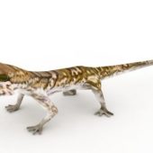 Leopard Gecko Crawling Animals