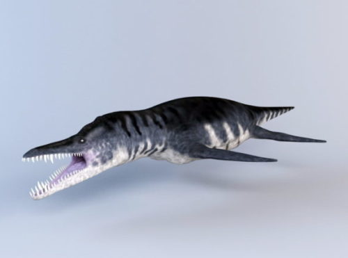 Animal Liopleurodon Pliosaurs Dinosaur