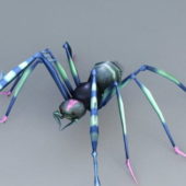Long Leg Spider | Animals