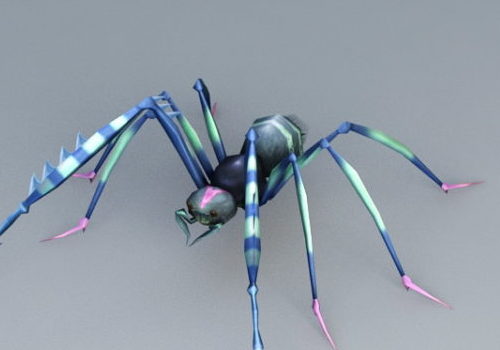 Long Leg Spider | Animals
