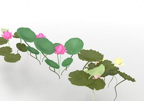 Flower Lotus Pond