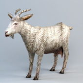 Animal Low-poly Goat