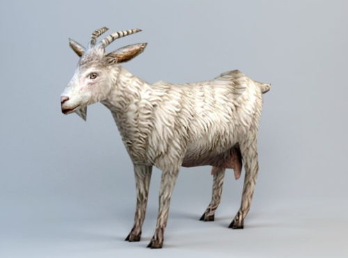 Animal Low-poly Goat Free 3D Model - .Max - 123Free3DModels