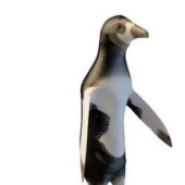 South Pole Magellanic Penguin Animals