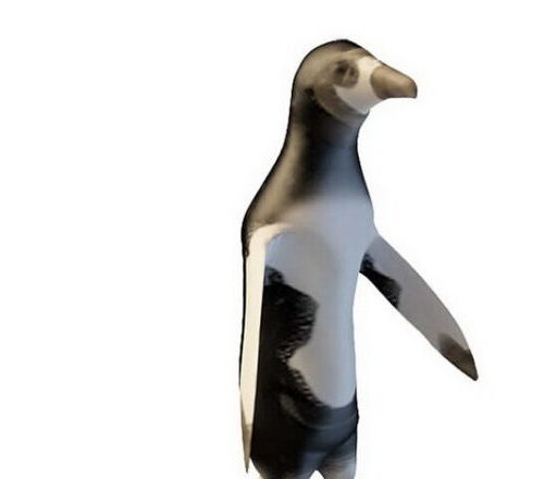 South Pole Magellanic Penguin Animals