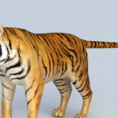 Realistic Malayan Tiger