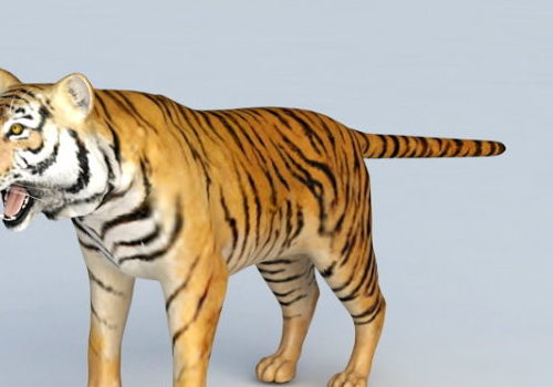 Realistic Malayan Tiger