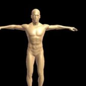 Man Human Base Body Character