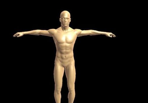 Man Human Base Body Character
