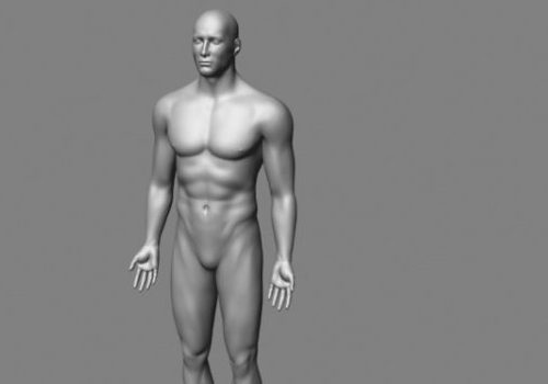 Male Body Base Mesh | Characters
