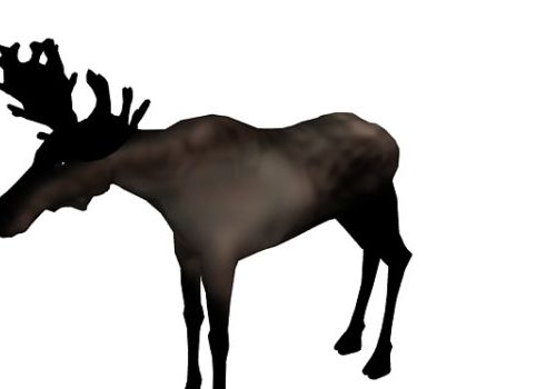 Male Elk Low Poly Animal Animals