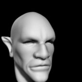 Male Head | Characters
