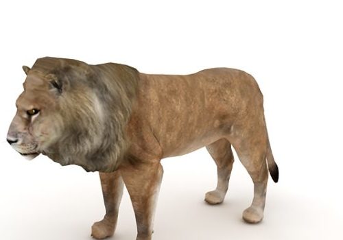 Male Lion Low Poly Animal Animals