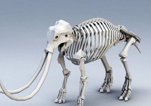 Animal Mammoth Skeleton