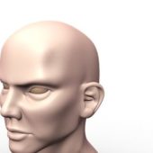 Man Bald Head Sculpture
