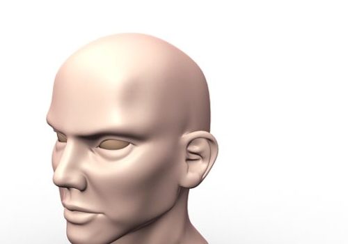 Man Bald Head Sculpture