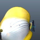 Yellow Marine Fish Animation