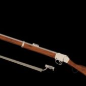 Weapon Martini-henry Rifle
