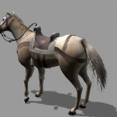 Medieval War Horse Animal