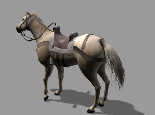 Medieval War Horse Animal