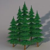 Nature Meta-sequoia Trees