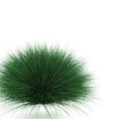 Garden Feather Grass
