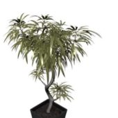 Indoor Miniascape Potted Tree