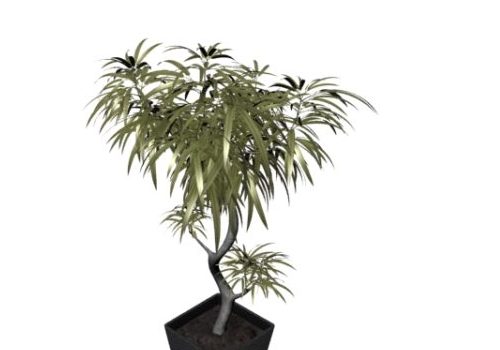 Indoor Miniascape Potted Tree