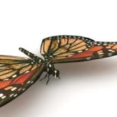 Monarch Butterfly Low Poly Animal Animals