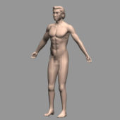 Character Muscular Male Body