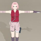 Character Naruto Character Sakura Haruno