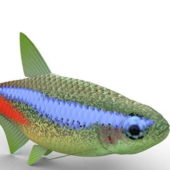 Fish Neon Tetra Aquarium Animals