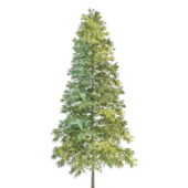 Nature Norway Spruce Christmas Tree