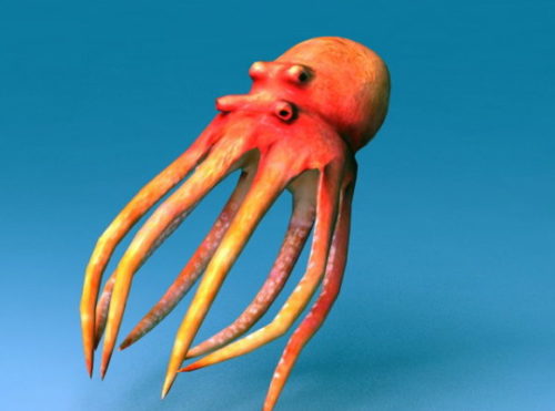Sea Octopus Animated Rigged