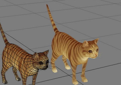Orange Striped Tabby Cat Animal
