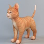 Orange Tabby Cat Animal