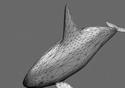 Low Poly Whale