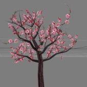 Garden Flowering Peach Tree